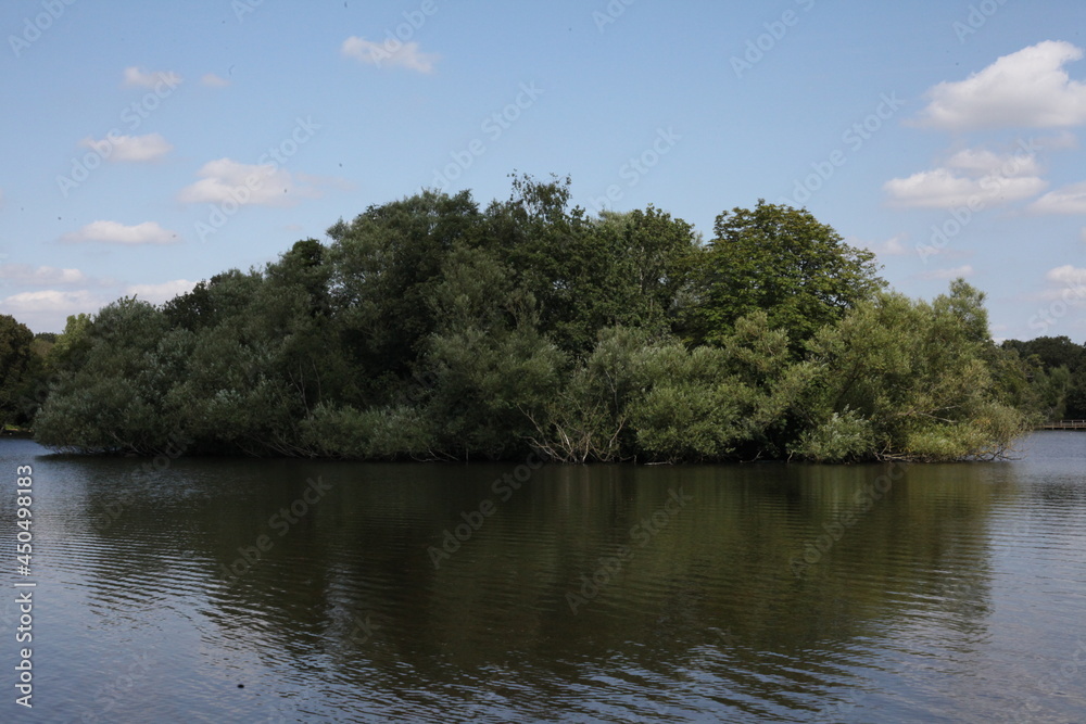 Wooded Island on a pond