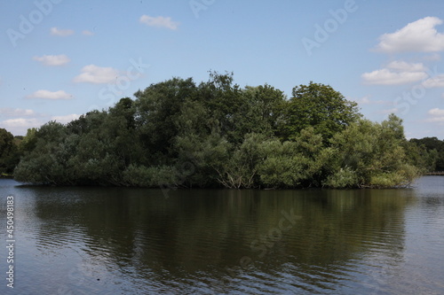 Wooded Island on a pond