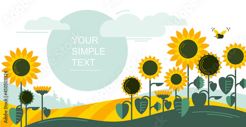 Fototapeta Naklejka Na Ścianę i Meble -  Sunflowers. Sunflower field. Banner.  Vector image.