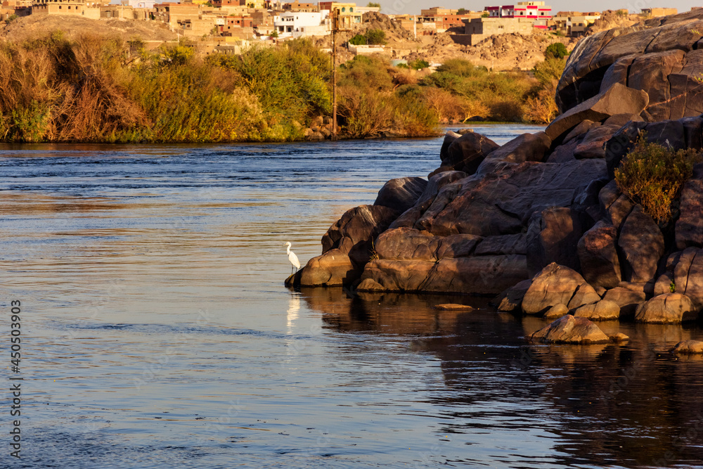 River Nile - Aswan Egypt -