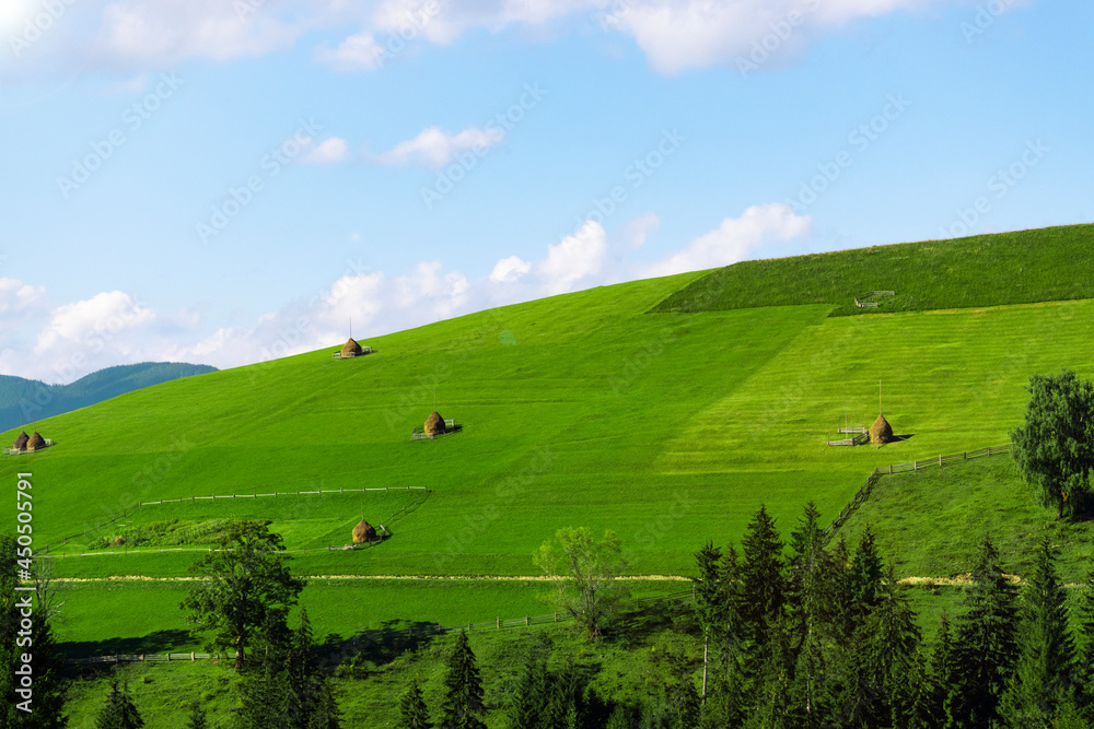 Mountain landscape with green field, Nature background