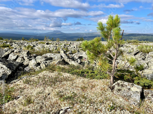 Ural Mountains on the territory of the Pechora-Ilychsky Reserve in the summer. Komi Republic, Russia photo