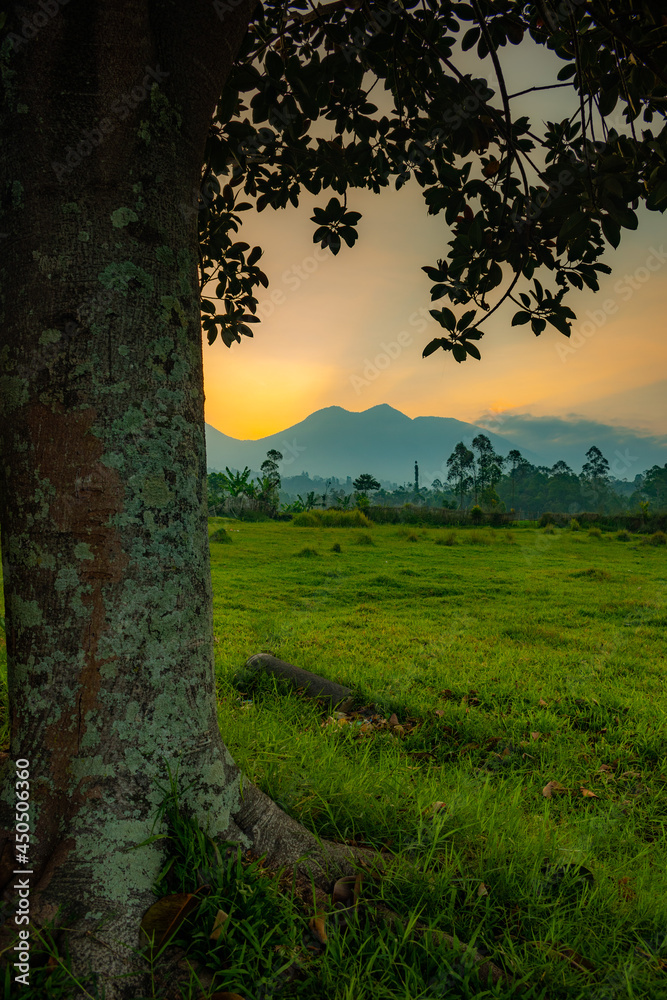 sunset in the countryside
