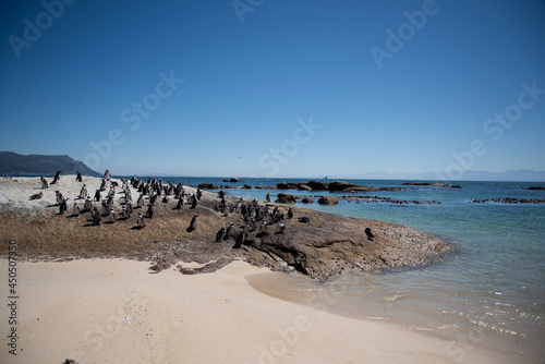 Fototapeta Naklejka Na Ścianę i Meble -  beach and sea