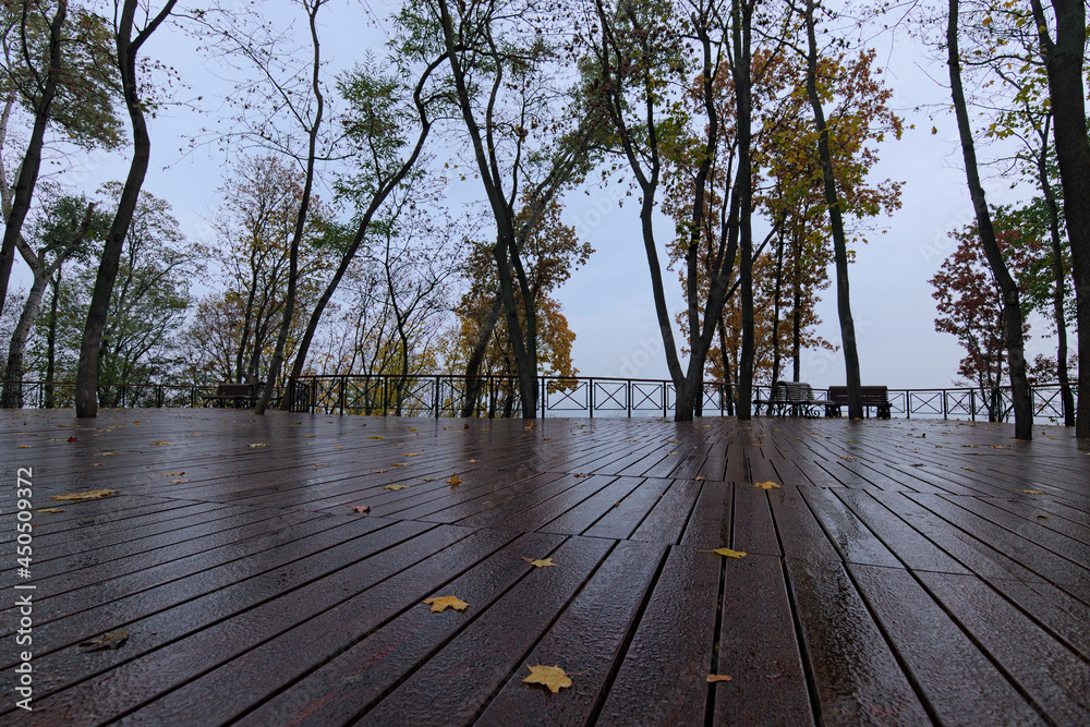 Raindrops and yellow leaves on a wooden platform. Empty wooden benches in the park. Rainy autumn morning in Artist?s alley. It is nice place for walking in Kyiv. Blurred landscape background