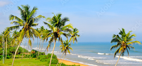 Tropical beach and coconut trees. Wide photo. © alinamd