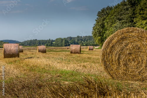 La moisson dans les champs