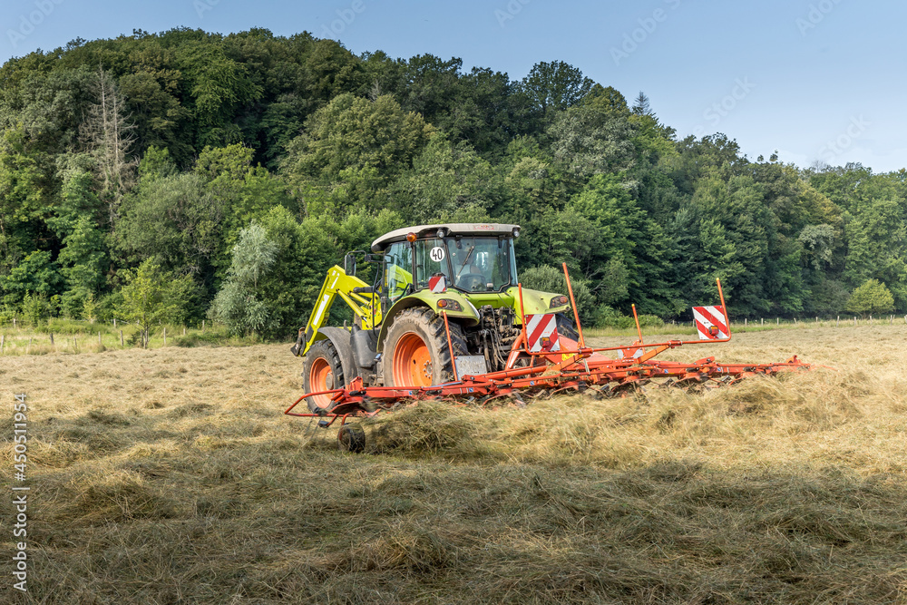 Fototapeta premium La moisson dans les champs