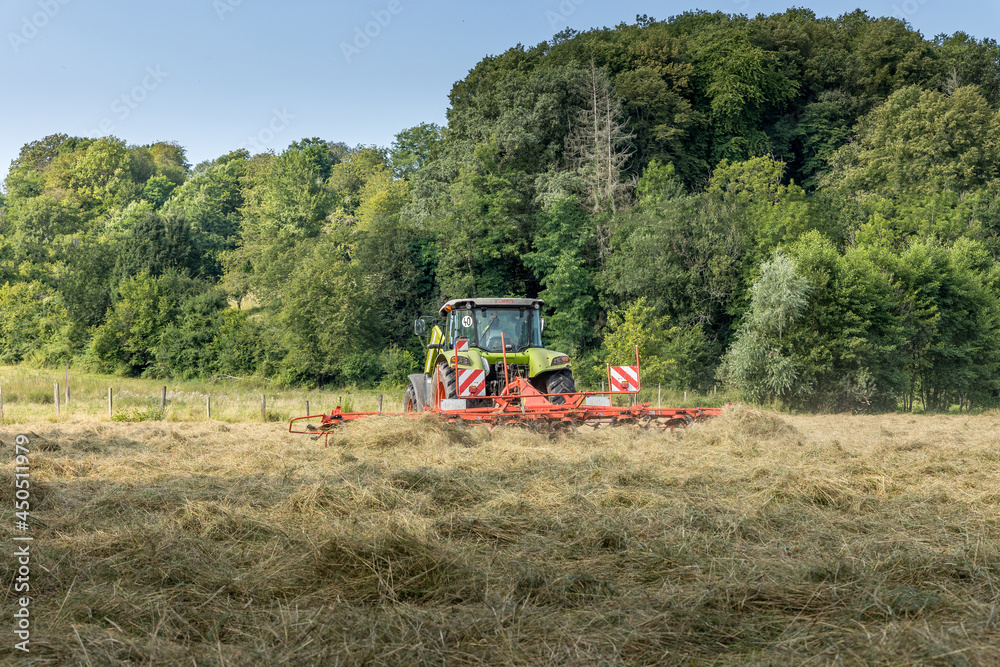 Fototapeta premium La moisson dans les champs