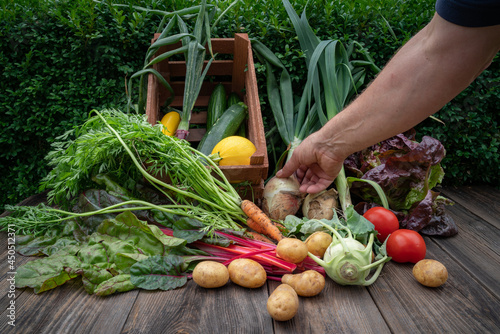 Gemüseanbau - frisch geerntetes heimisches Gartengemüse dekorativ auf einem Holztisch arrangiert.