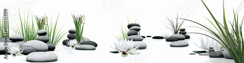 Obraz  z motywem SPA LOTUS FLOWER AND GRASS 