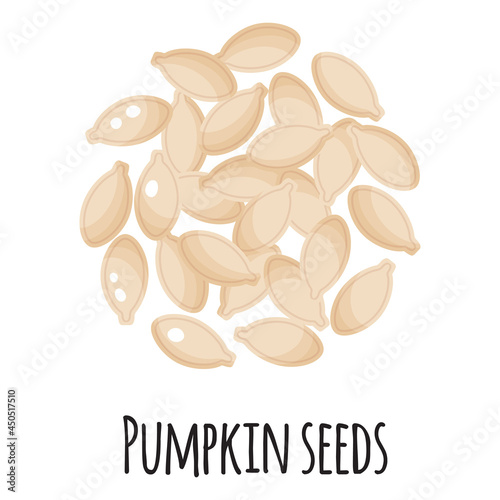 Pumpkin seeds for template farmer market design, label and packing. Natural energy protein organic super food.