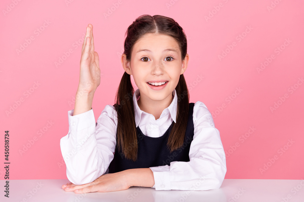 Photo portrait little girl with tails sitting at desk at school smiling raising hand up isolated pastel pink color background