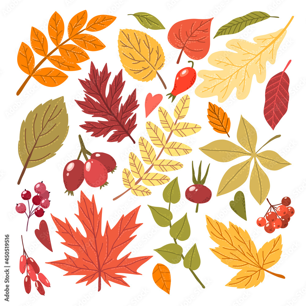 Fall leaves and berries, hand drawn vector flat