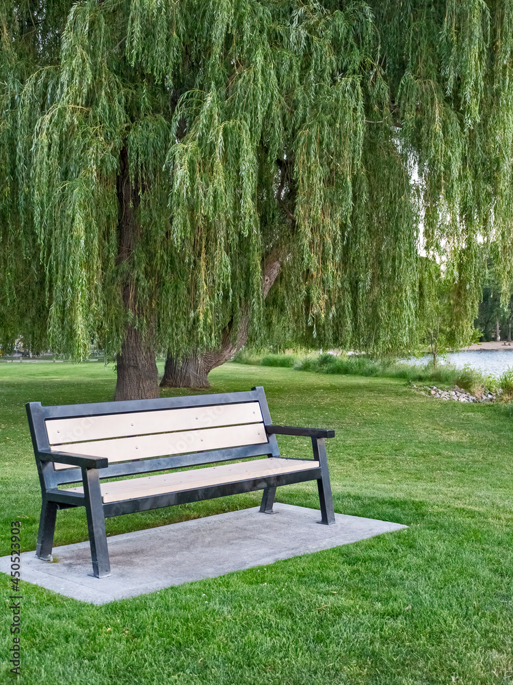 Lonely bench for relaxation on waterfront in the park