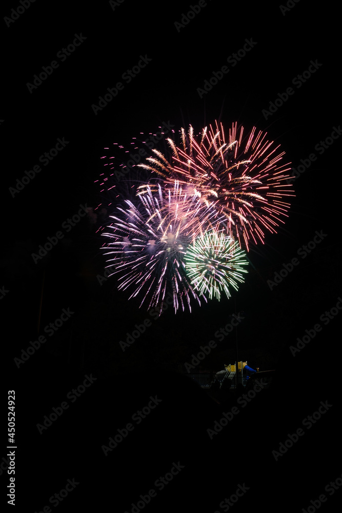 Fototapeta premium firework