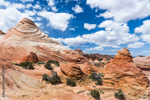 Coyote Buttes sandstone formations in Utah