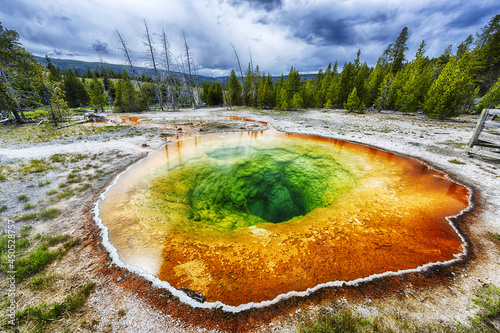 Morning glory pool in Yellowstone national park in the USA photo