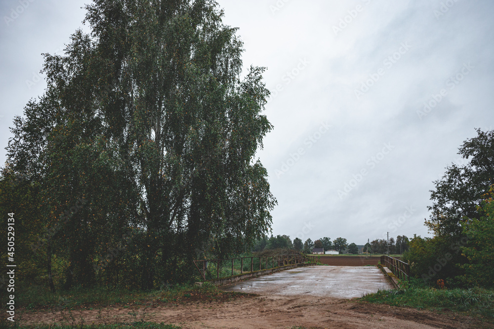 Fototapeta premium old concrete cement bridge over small river in Latvia countryside. Birch trees, cloudy grey sky. Dull september evening light