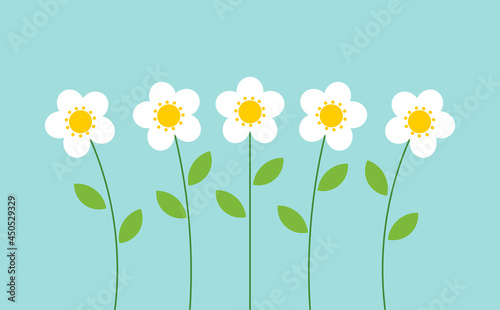 Cute white flowers on blue background.