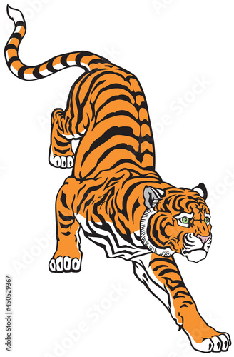 Peaceful tiger climbing down. Tattoo style vector illustration