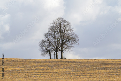 Three Trees an a Cross in the Weald