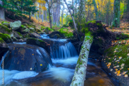 Waterfall with a fallen tree. River landscape in autumn forest in guadarrama national park
Guadarrama, Community of Madrid, Spain photo