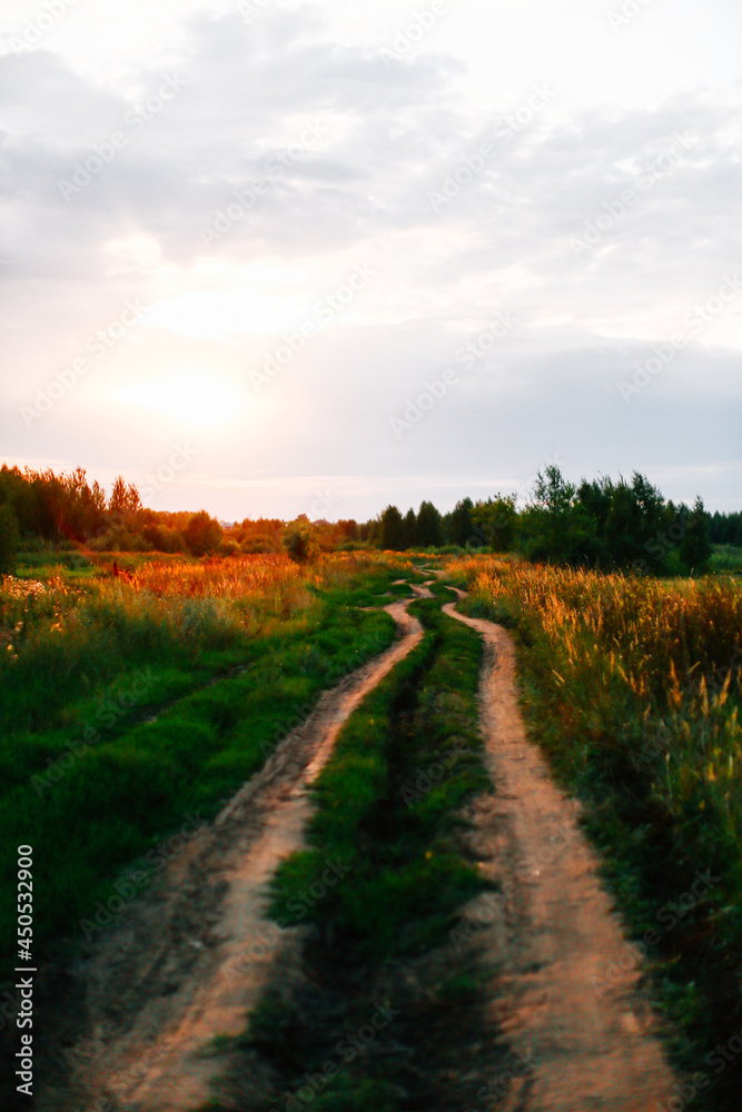 Obraz premium road in the field