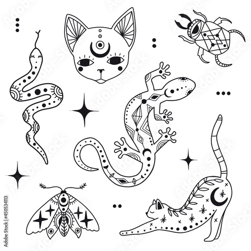 Doodle mystic set with magic elements
