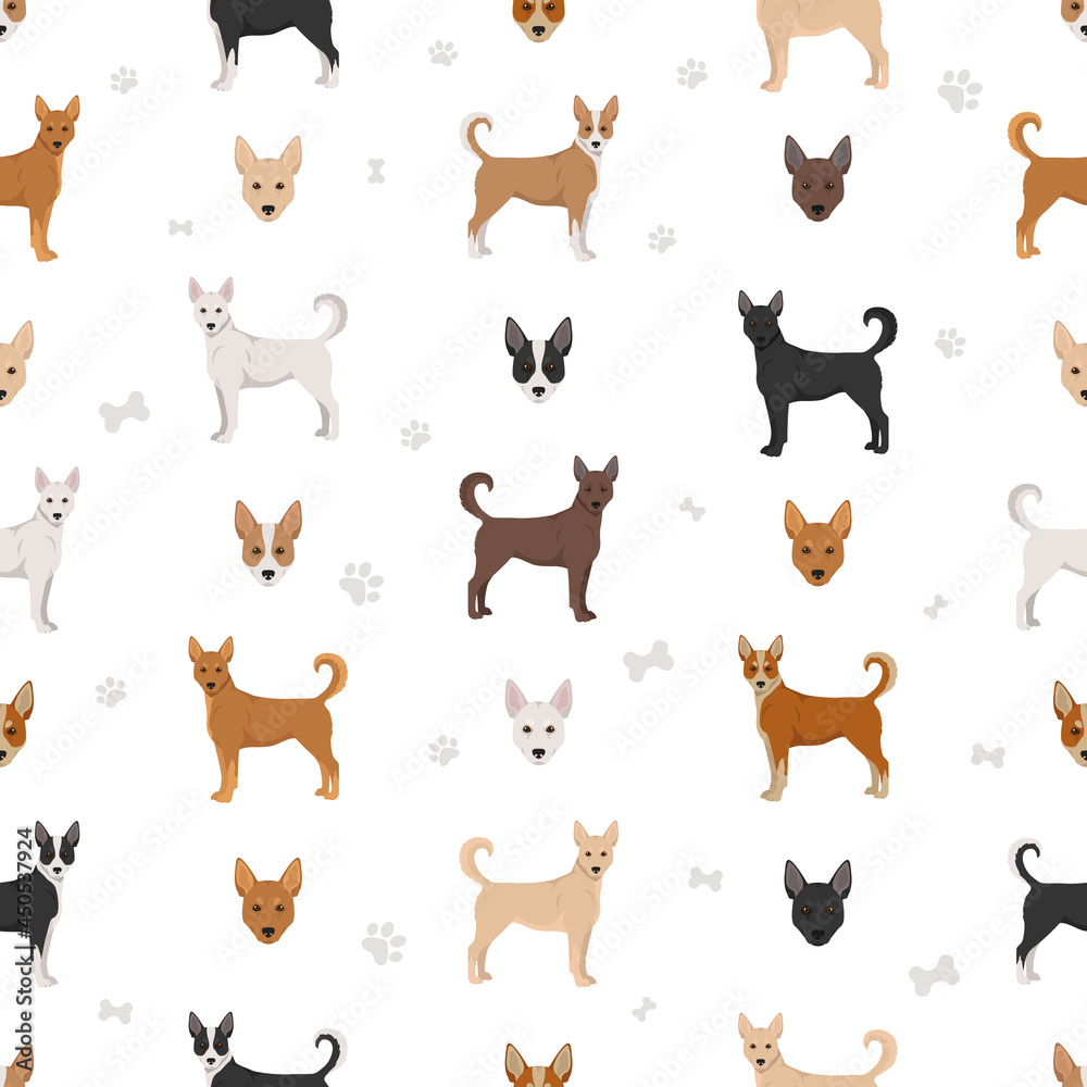 Canaan dog seamless pattern. Different poses, coat colors set