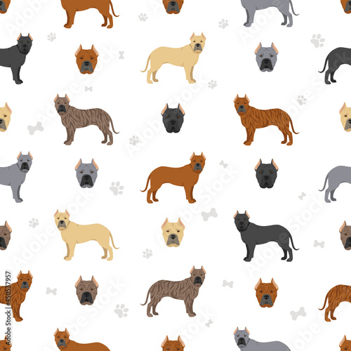 Canary mastiff seamless pattern. Different poses  coat colors set