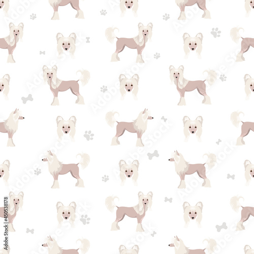 Chinese crested dog hairless variety seamless pattern. Different poses, coat colors set.