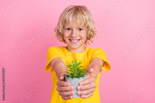 Photo of young cheerful small boy child happy positive smile give flower plant you isolated over pink color background