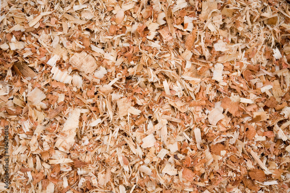 Wood shavings in a timber yard in Lilongwe, Malawi, Africa