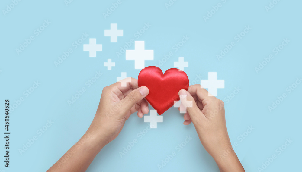 Hands holding red heart. heart health donation concepts Hands holding red heart. heart health donation concepts
