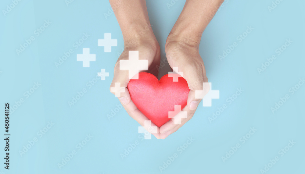 Hands holding red heart. heart health donation concepts Hands holding red heart. heart health donation concepts