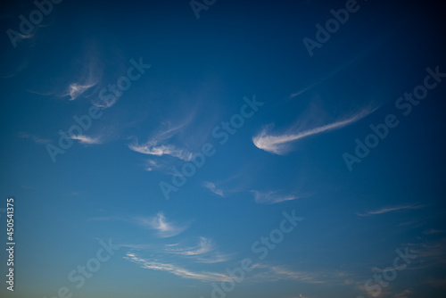 cumulus clouds in the blue sky above the earth