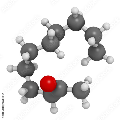 Methyl nonyl ketone (2-undecanone) insect repellent molecule. 3D rendering. photo