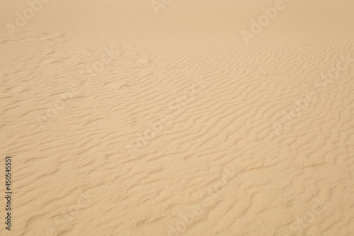 sand texture background small dunes