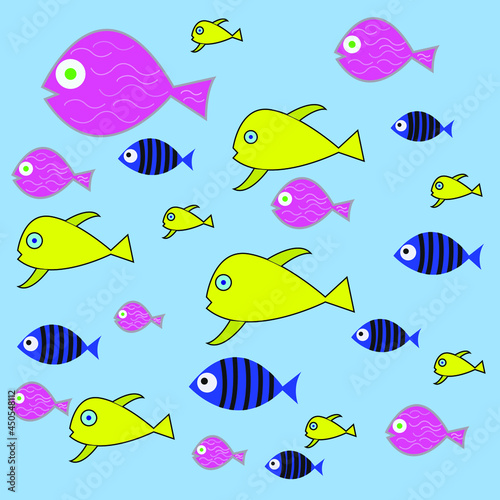 colorful fish flock school of marine animals