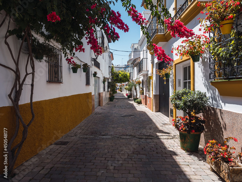 Central street in the city of Estepona (Costa del sol) full of flowerpots with flowers and colorful buildings