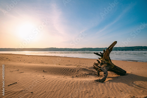 An old stump, the roots of a tree, lies on a sandy beach by the river against the background of the morning sky and the sun.