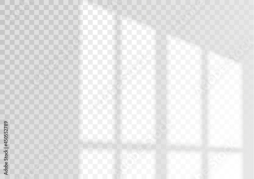 The transparent overlay window and blinds shadow.