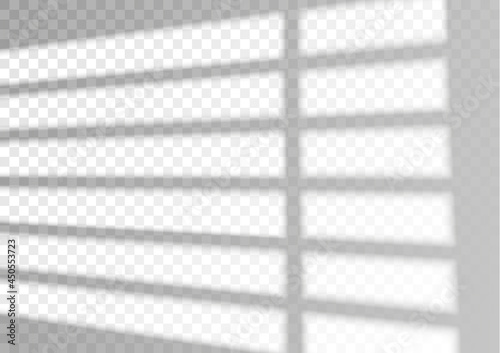 The transparent overlay window and blinds shadow.