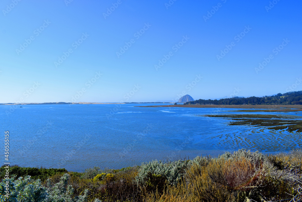 The bay near Elfin Forest in Morro Bay, CA.