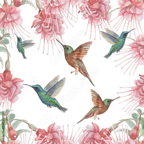 Bird hummingbird watercolor hand-drawn illustration. Patern seamless print textile realism sketch vintage © Paint_art