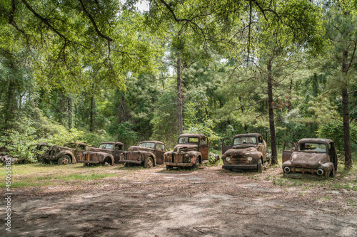 Old rusted Ford pickup trucks © Heidi