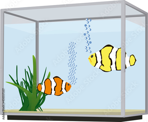 Two fishes in aquarium. vector