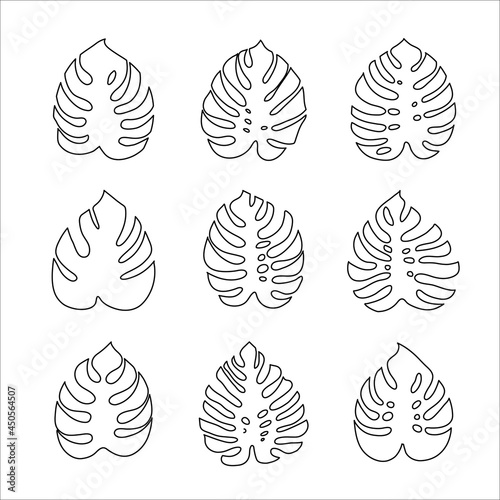 monstera leaves. set of vector icons isolated on white background