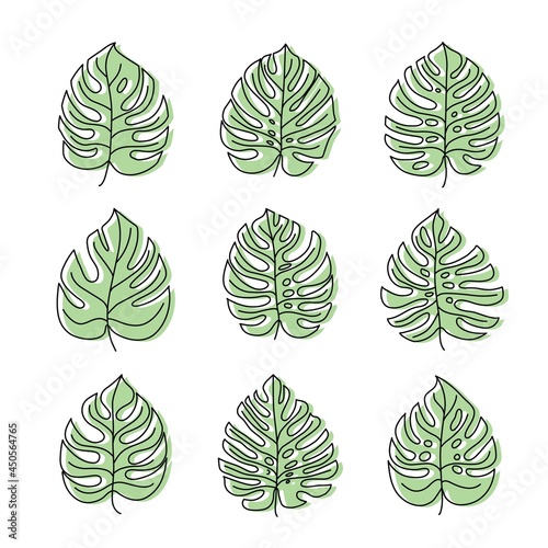 monstera leaves. set of vector color icons isolated on white background